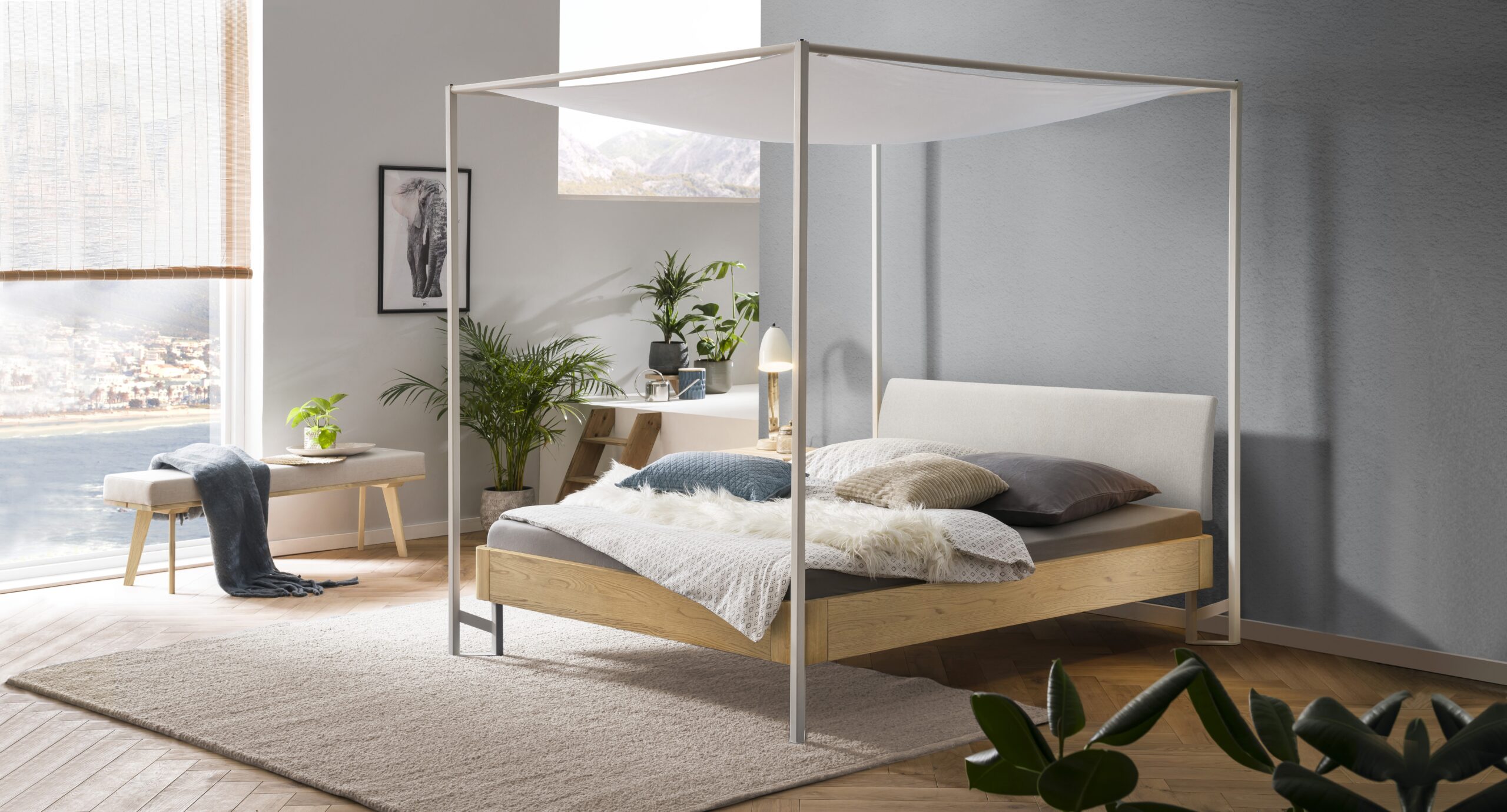 Hasena Oak Line Bianco Ripo