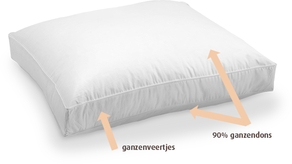 Jonk Down Surround Curve