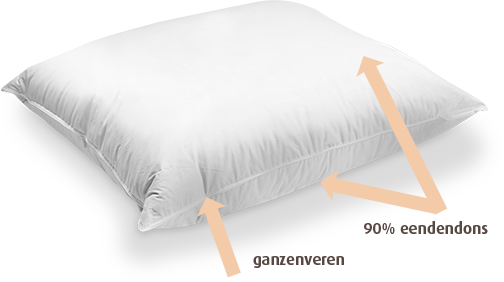 Jonk Down Surround Punt